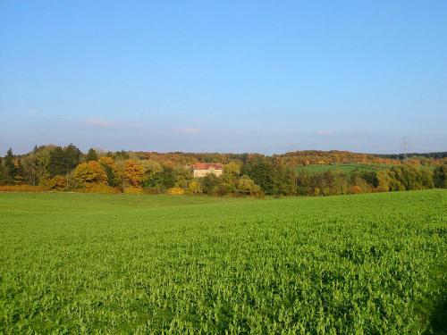 Gutshof Hungerburg bei Bitburg in der Eifel Gutshof Hungerburg bei Bitburg in der Eifel