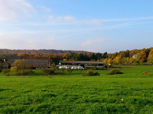 Gutshof Hungerburg in der Eifel Gutshof Hungerburg in der Eifel