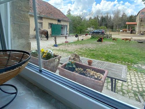 Kastanienwohnung: Ausblick Kastanienwohnung: Ausblick