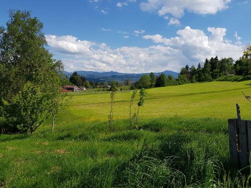 Ausblick