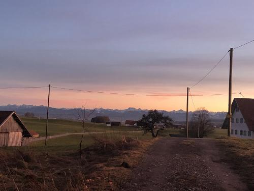 Ausblick
