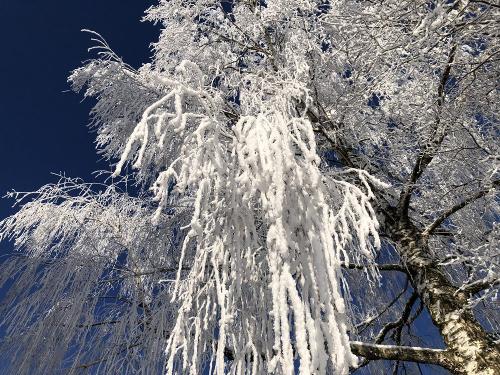 Winter Januar 2024