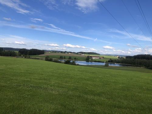 Sachsenrieder Weiher - Bademöglichkeit