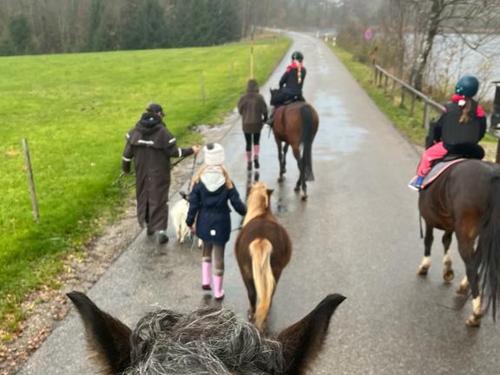 Ausflug der Kinder unserer Reitbeteiligung