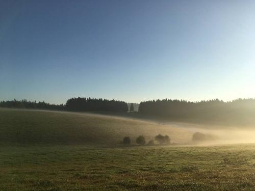 Schwarzwald