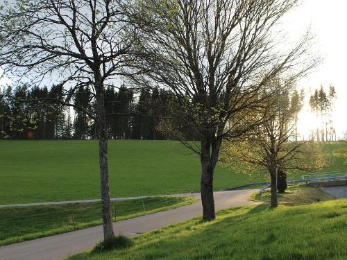 Einfahrtsstraße