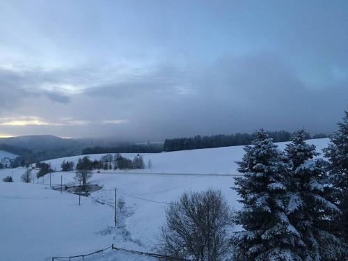 Winterzauber im Jostal