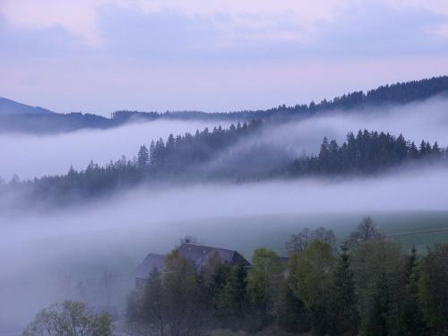 Schwarzwald pur
