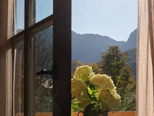 Blick vom Balkon