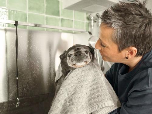 Hundedusche