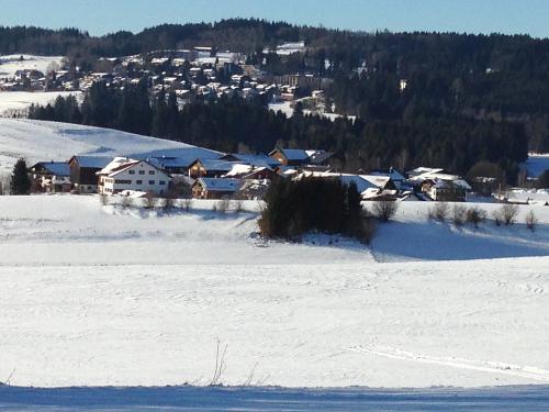 Winterpanorama