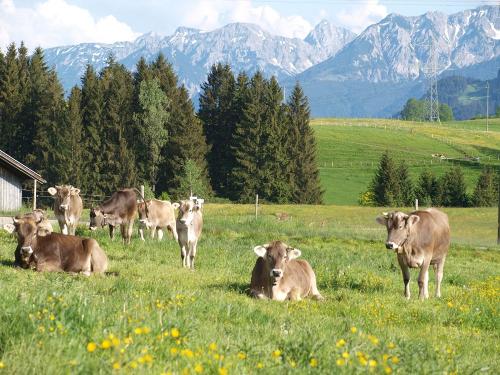 Frühling im Allgäu