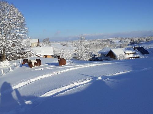 Spaß im Schnee