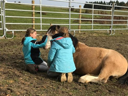 kinder-und-thommy