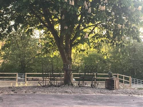 biergarten