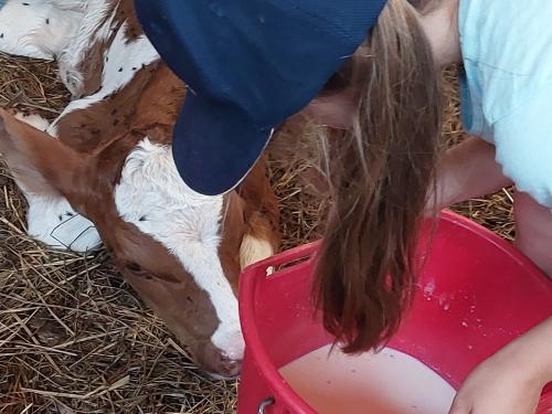 Mithelfen erwünscht