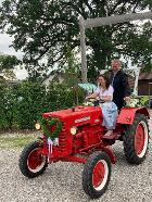 Unsere Hühner im Garten Unsere Hühner im Garten