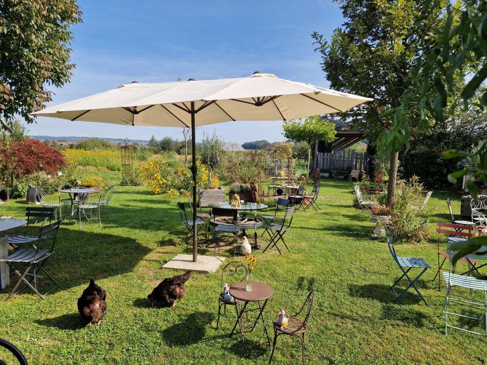 Unsere Hühner im Garten Unsere Hühner im Garten