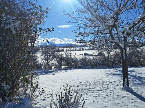 Wintertraum