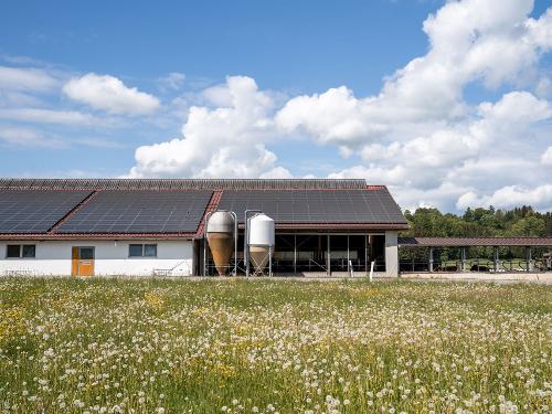 Unser Milchviehstall