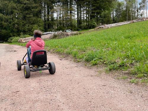 Kettcar fahren am Rüttwaldhof