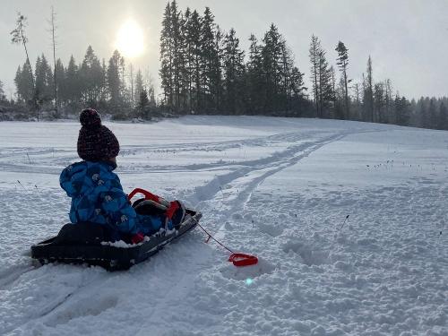 Rodelhang am Rüttwaldhof