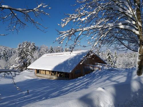 unser moderner Freilaufstall im Winter