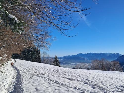 Weitsicht am Höhenwanderweg