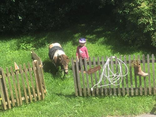 Ponyabenteuer