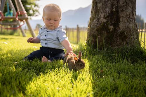 240619_Naturgut_Vogler-0661-highres - Kopie
