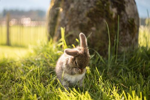 240619_Naturgut_Vogler-0812-highres - Kopie