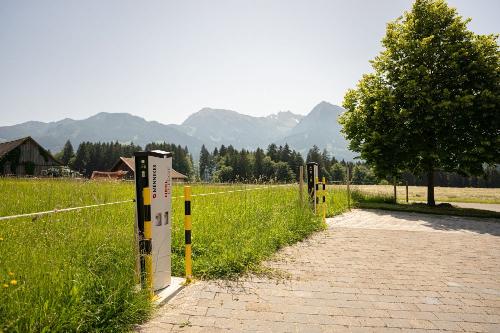 240619_Naturgut_Vogler-1466-highres