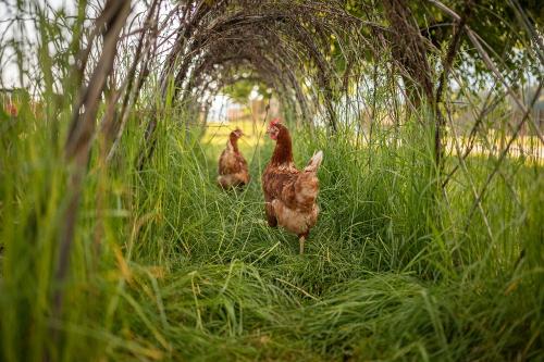 240619_Naturgut_Vogler-1230-highres