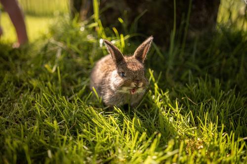 240619_Naturgut_Vogler-0792-highres