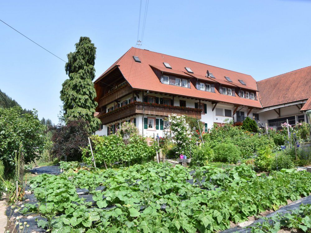 Obst- und Winzerhof Sester
