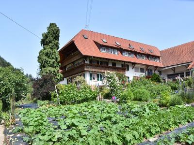 DSC_1692 Kopie