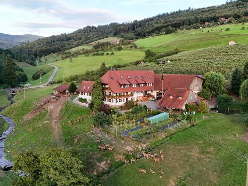 Obst- und Winzerhof Sester