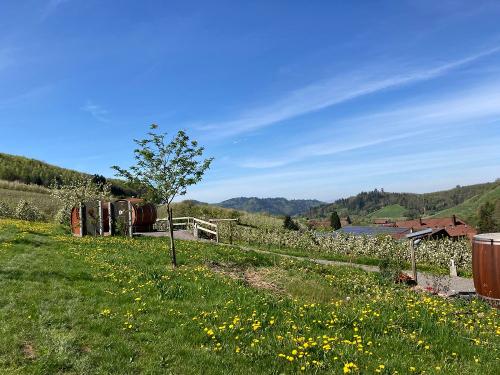 Idyllische Lage im Weinberg