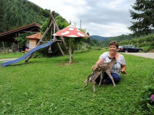 Rehkitz auf dem Sesterhof