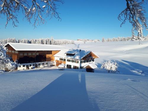 Winterbild