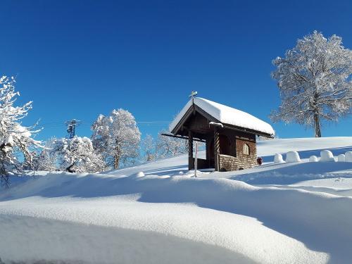 Winterbild