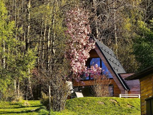 Chaletdorf im Frühling 2-1