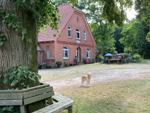 Hoffläche Baalshof