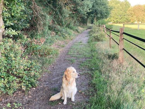 Wanderwege