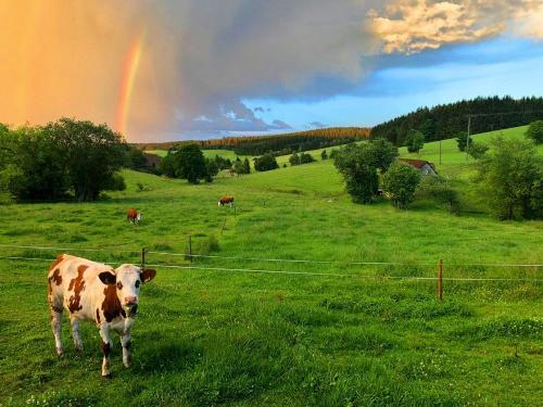 Hirzbauernhof_Regenbogen