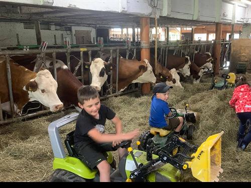 Die Kids bei der Stallarbeit