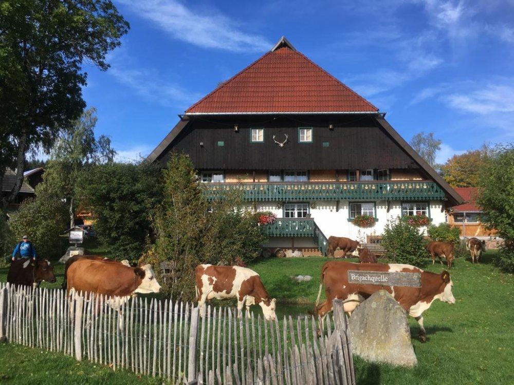 Hirzbauernhof Hirzbauernhof