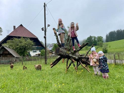 Die Kinder im kleinen Streichelzoo