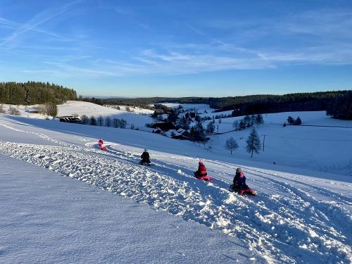 Unser Rodelhang