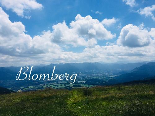 Blomberg_Startbild